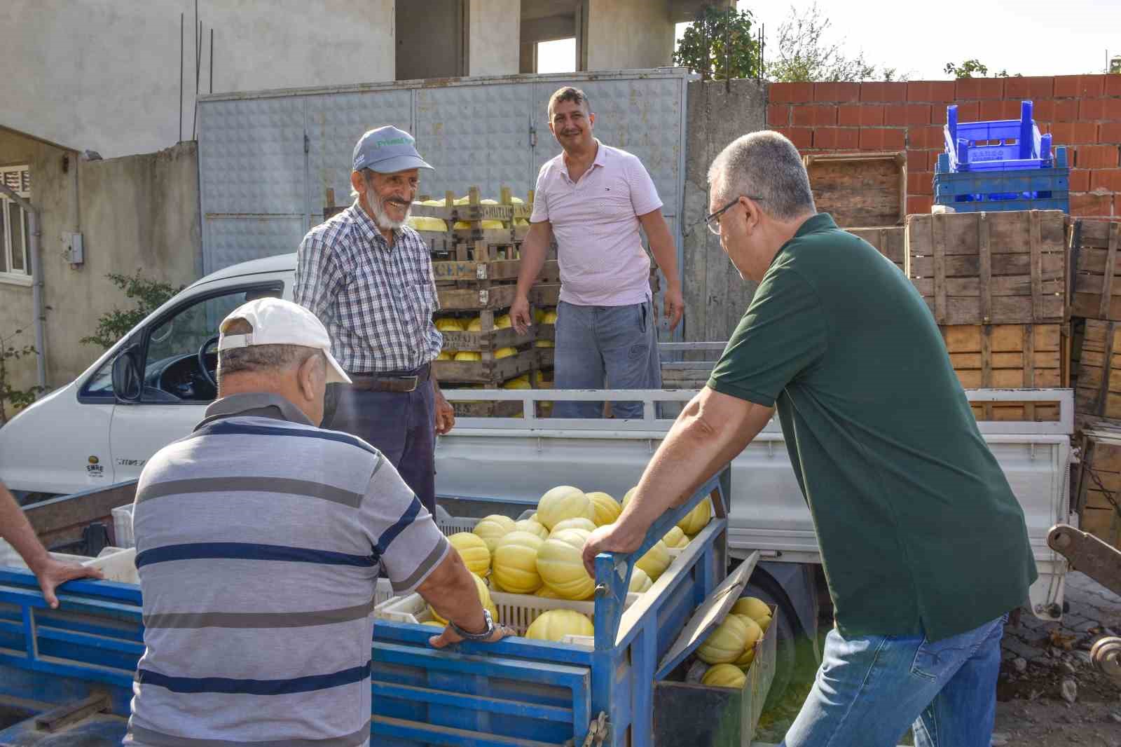 Karacabeyli çiftçiler kavun hasadından memnun