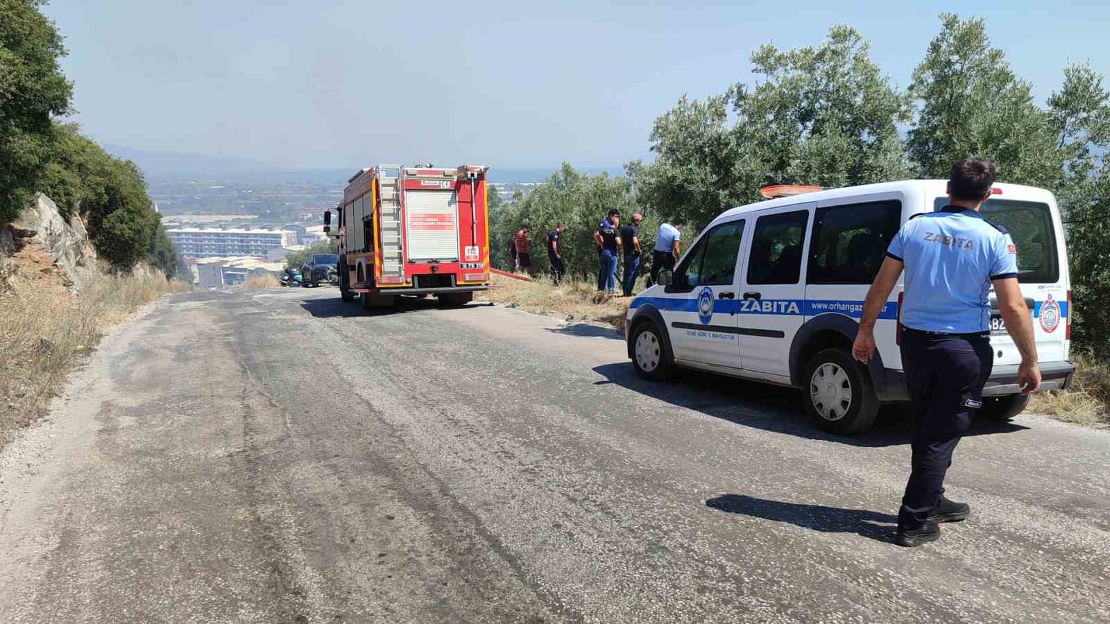 Bursa’da dört noktada aynı anda yangın