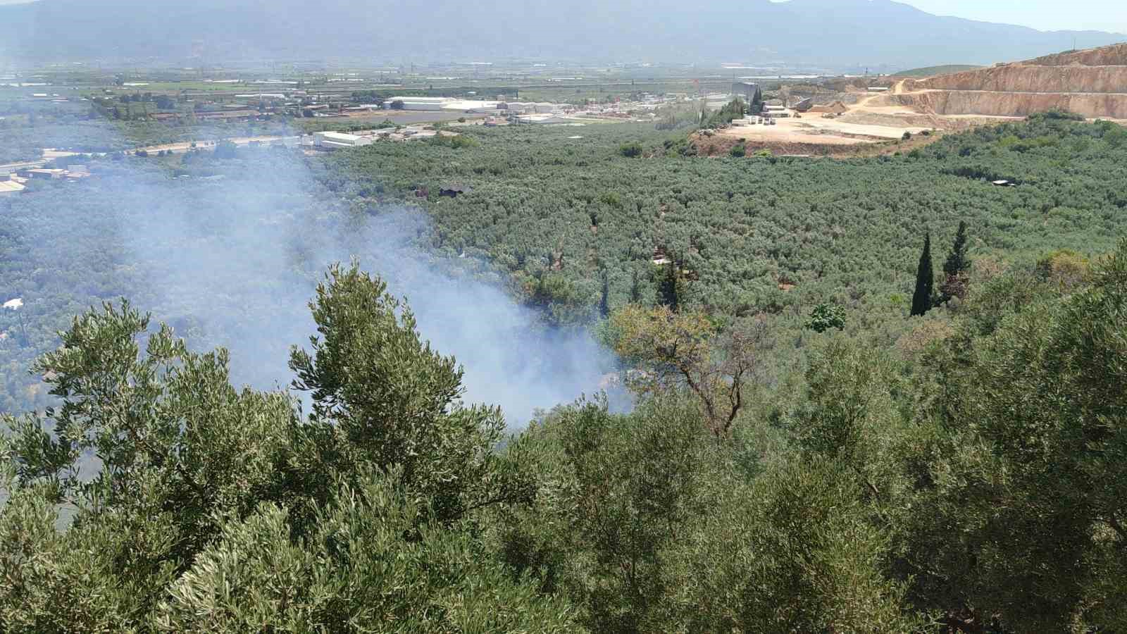 Bursa’da dört noktada aynı anda yangın