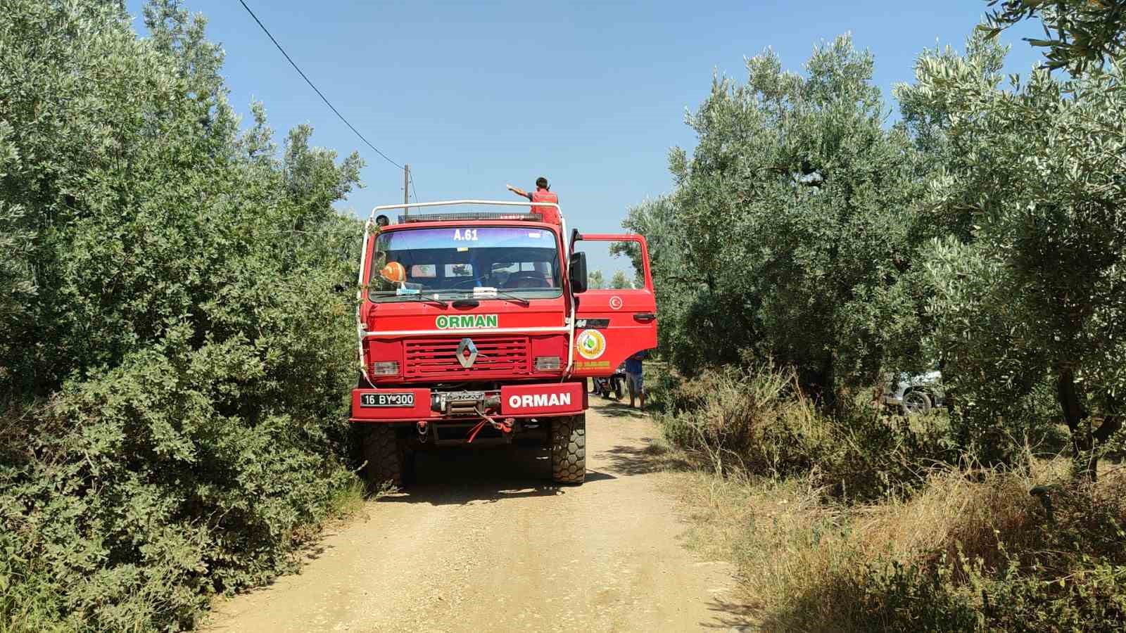 Bursa’da dört noktada aynı anda yangın