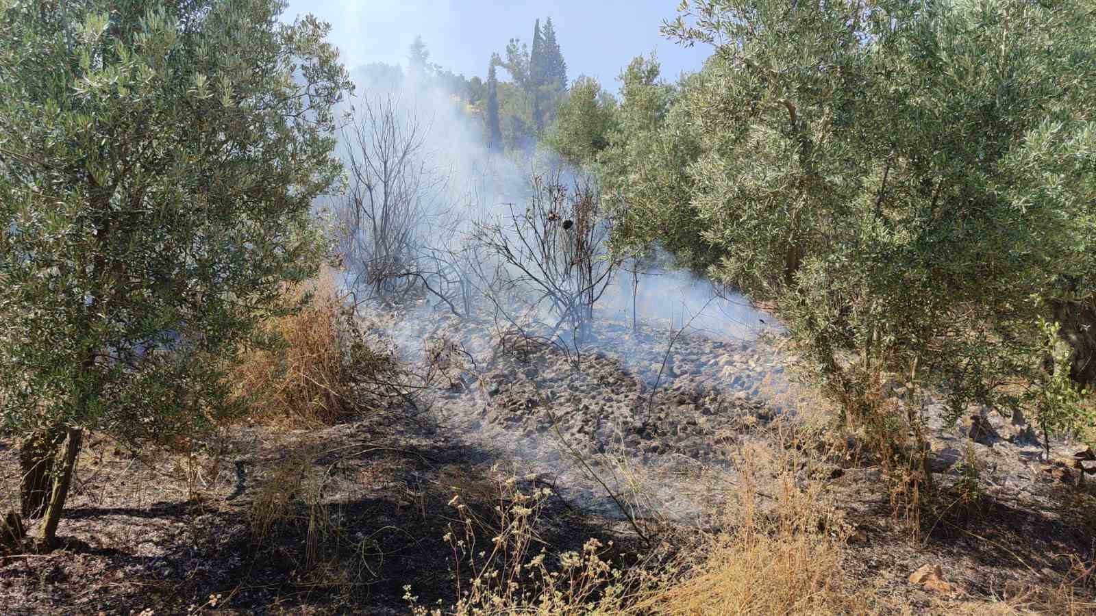 Bursa’da dört noktada aynı anda yangın