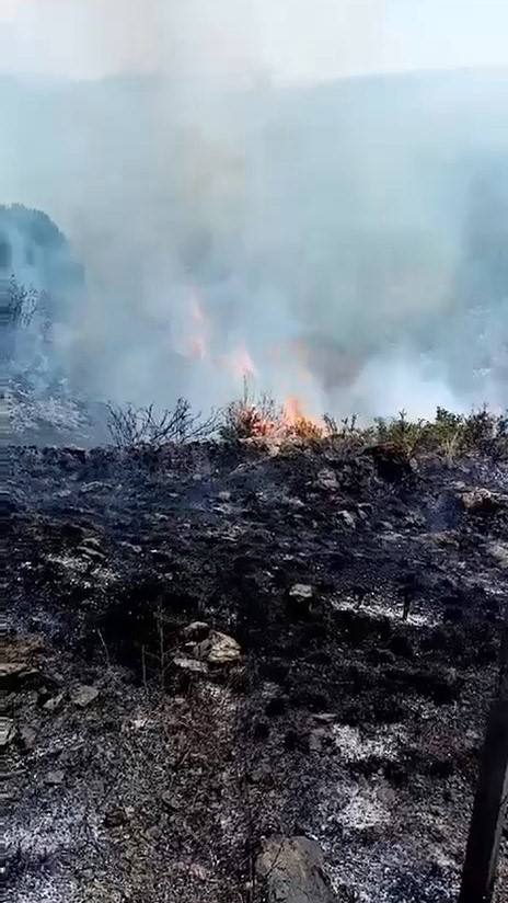 İznik’te makilik alanda çıkan yangın söndürüldü