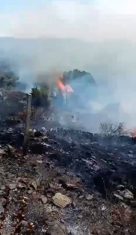 İznik’te makilik alanda çıkan yangın söndürüldü