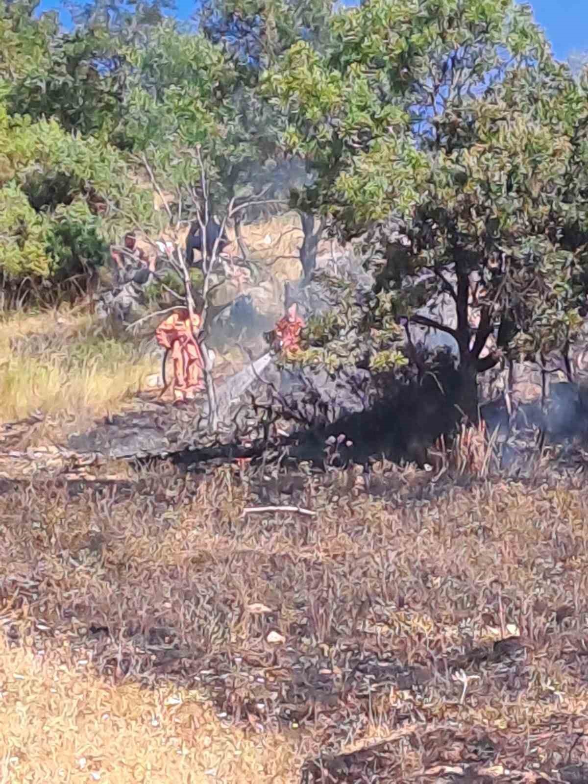 Orhaneli’de çıkan yangın söndürüldü