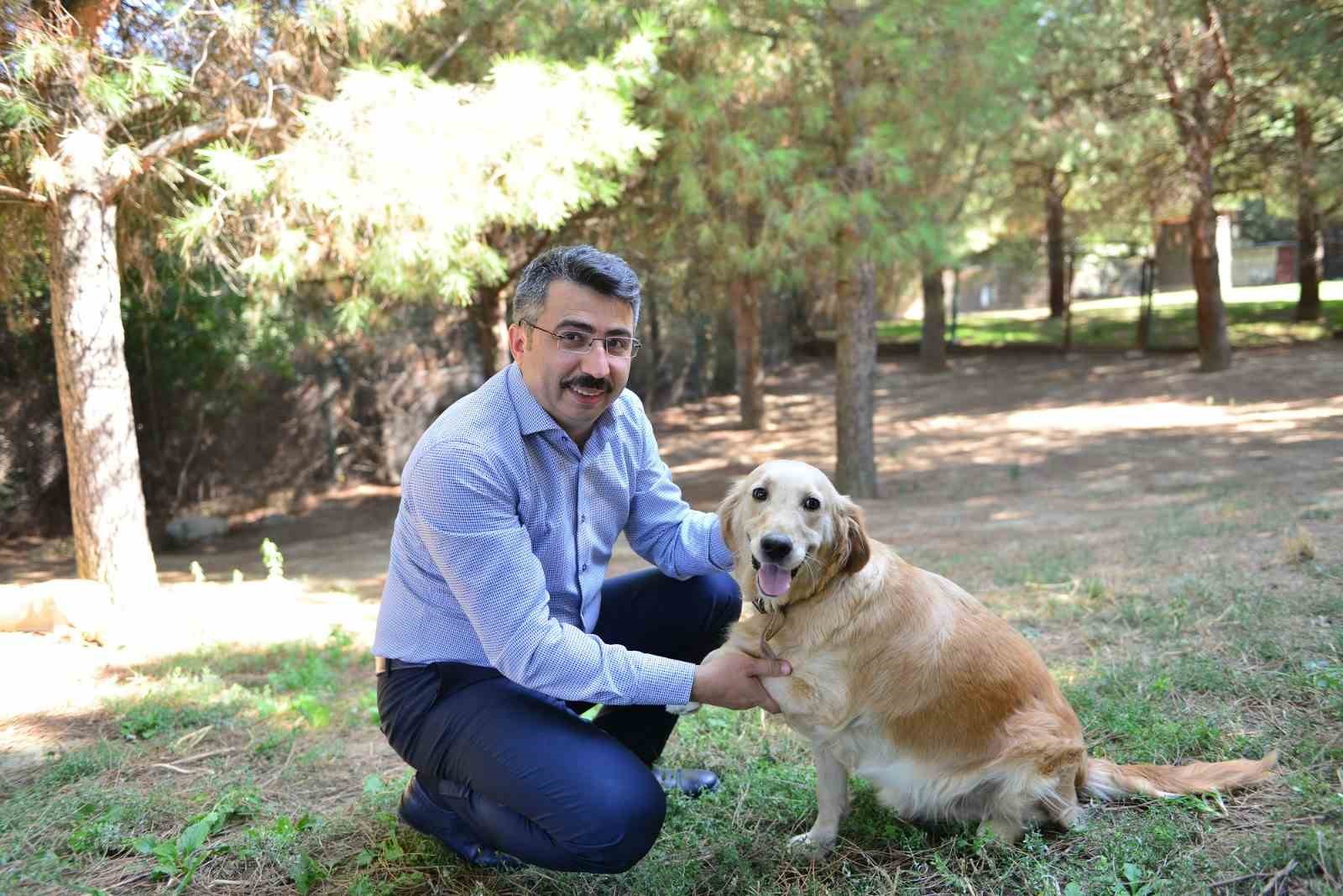 Yıldırım Belediyesi yaz sıcaklarında da sokak hayvanlarının yanında