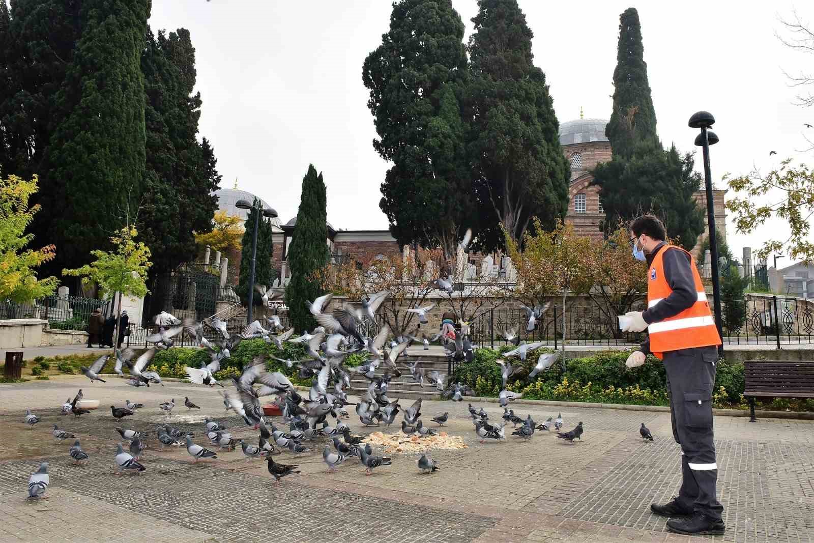 Yıldırım Belediyesi yaz sıcaklarında da sokak hayvanlarının yanında