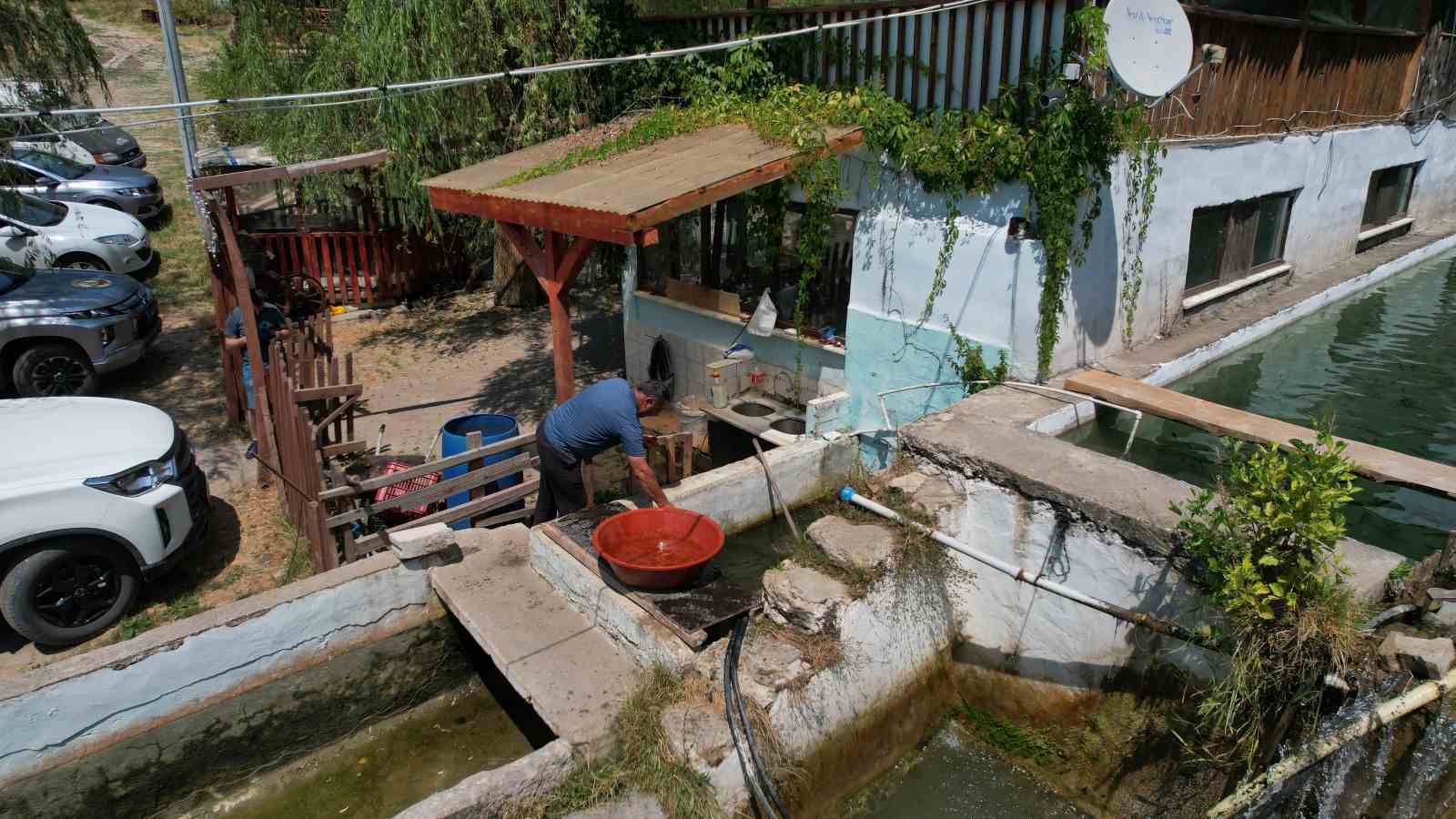 Uludağ’ın kar sularında yetiştirilen alabalık yaz aylarında rağbet görüyor