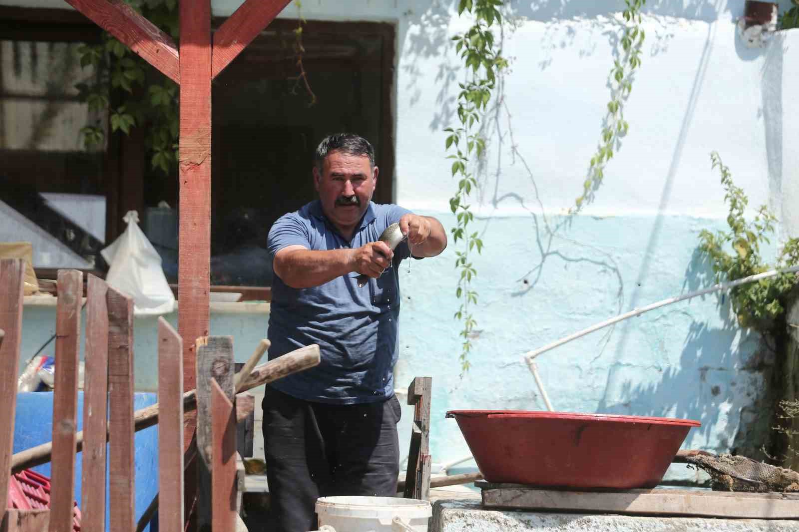 Uludağ’ın kar sularında yetiştirilen alabalık yaz aylarında rağbet görüyor