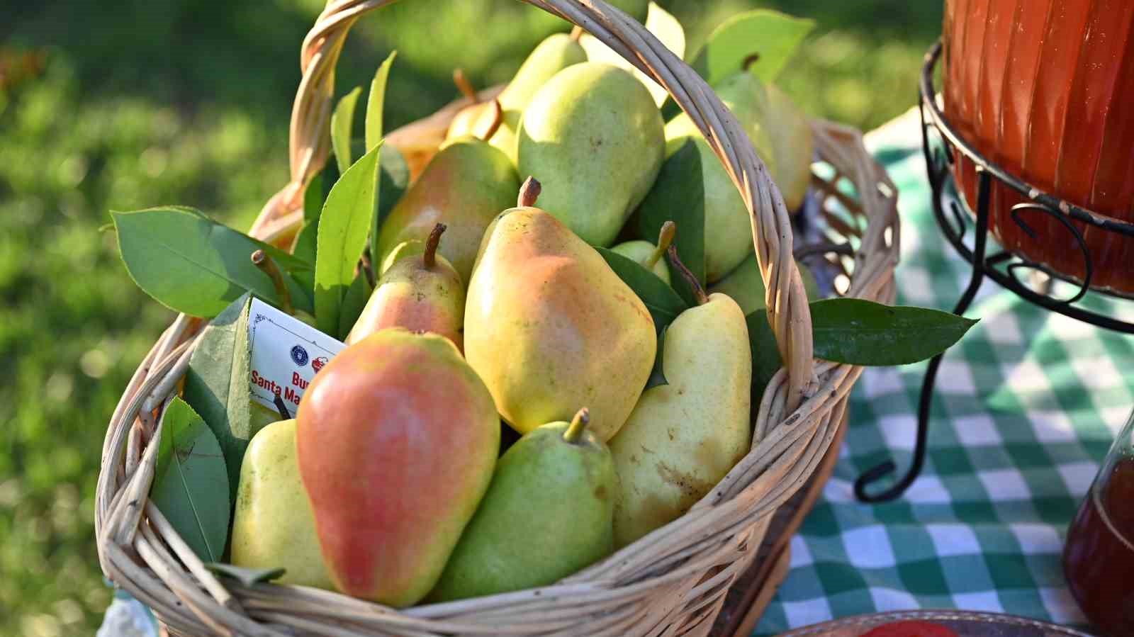 Bursa’da Gastronomi Festivali 15 Eylül’de başlıyor