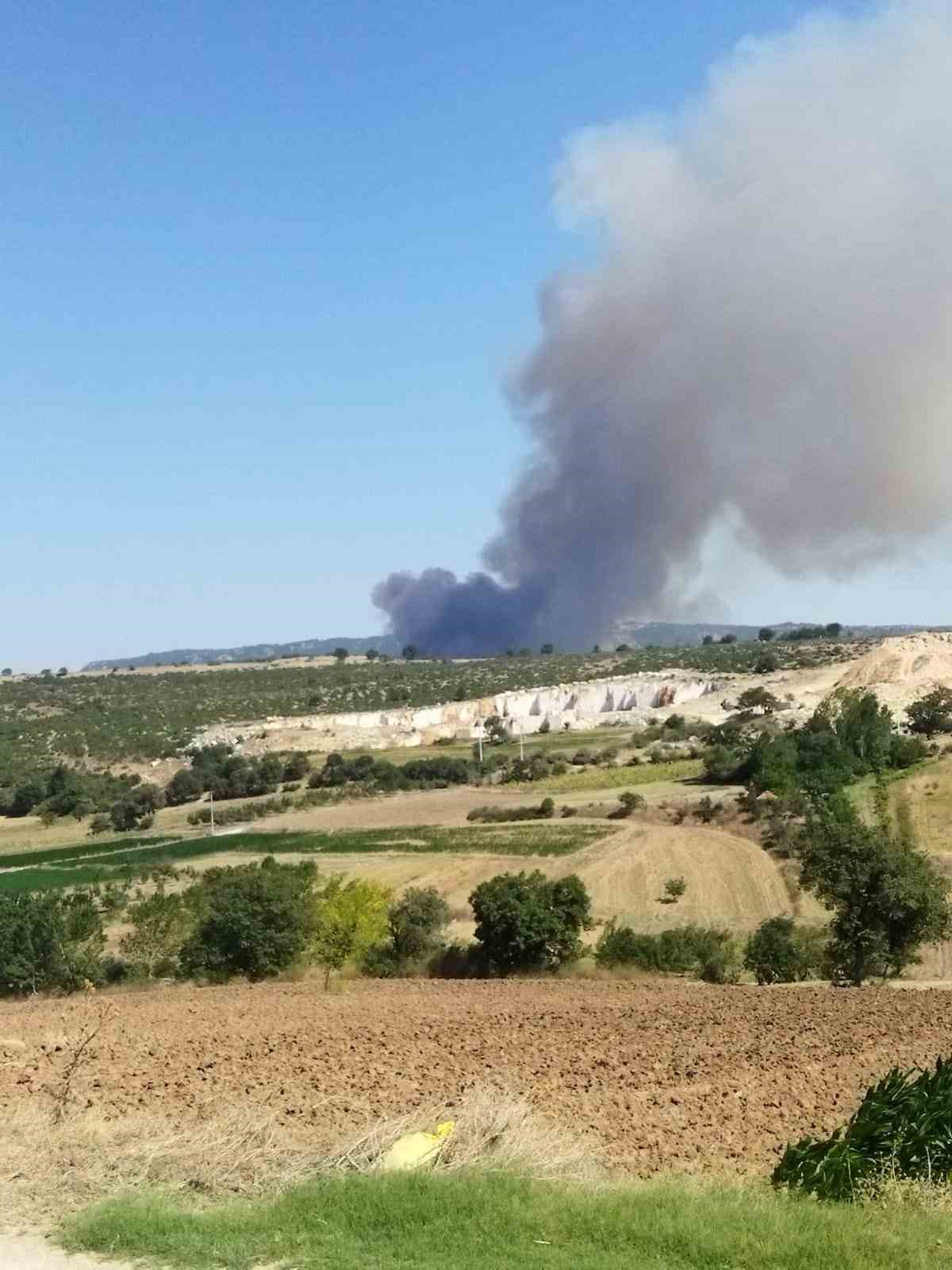 Bursa’da orman yangını