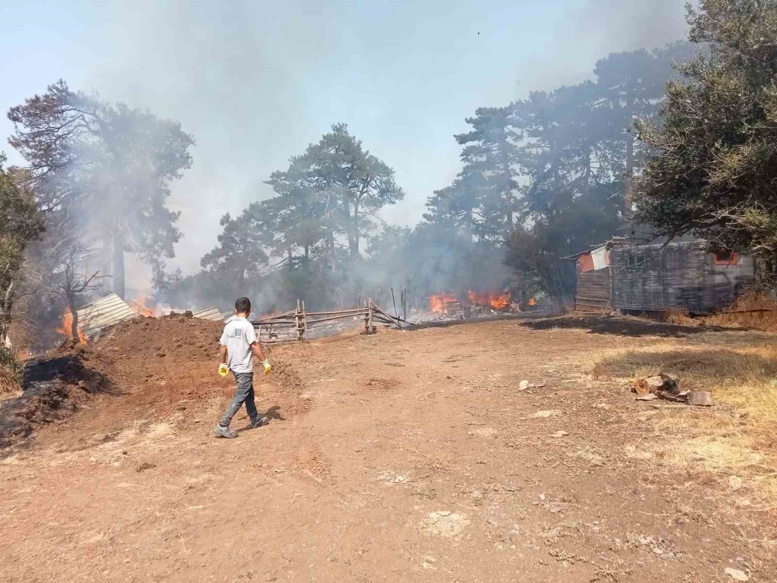 Bursa’da ağıl yangını