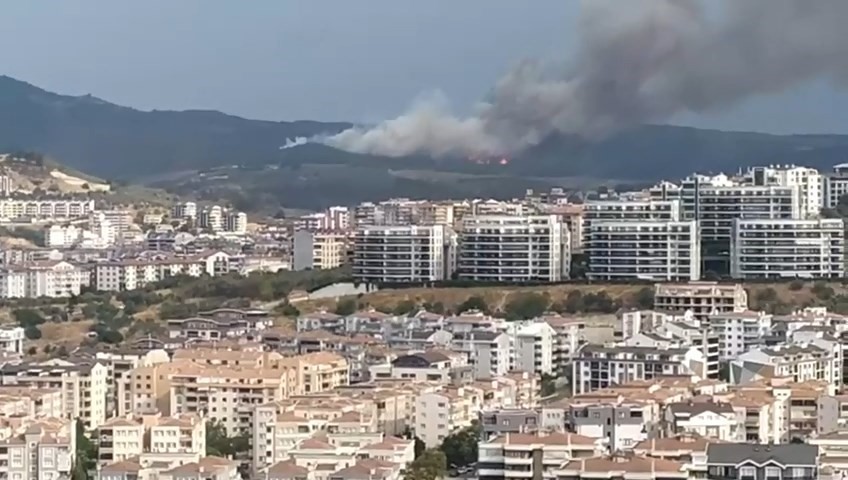 Bursa’da orman yangını