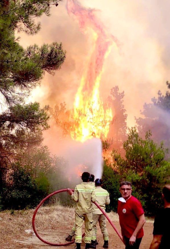 Bursa’da orman yangını arıları telef etti, ekipler alevlere böyle müdahale etti