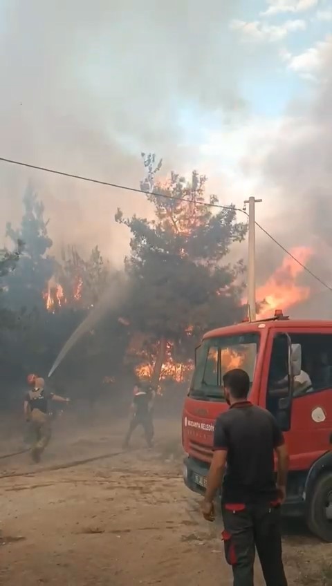 Bursa’da orman yangını arıları telef etti, ekipler alevlere böyle müdahale etti