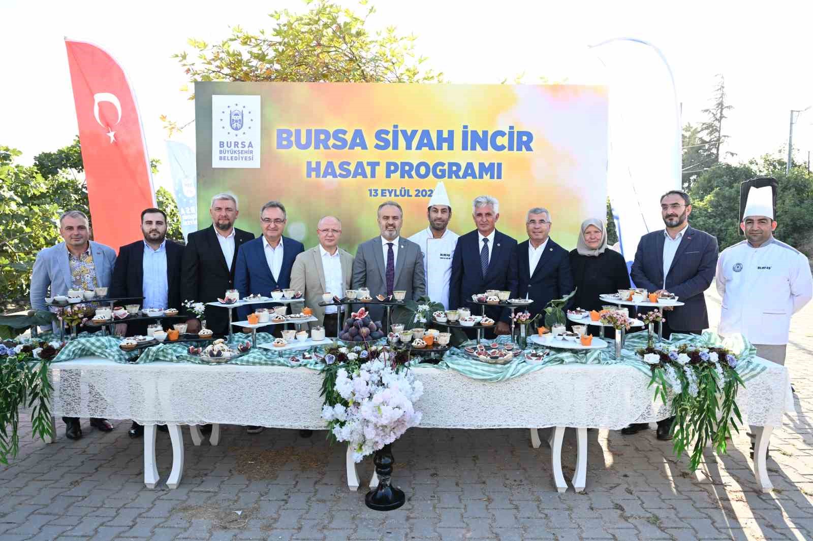 Bursa’nın ’Siyah incisi’nde hasat başladı