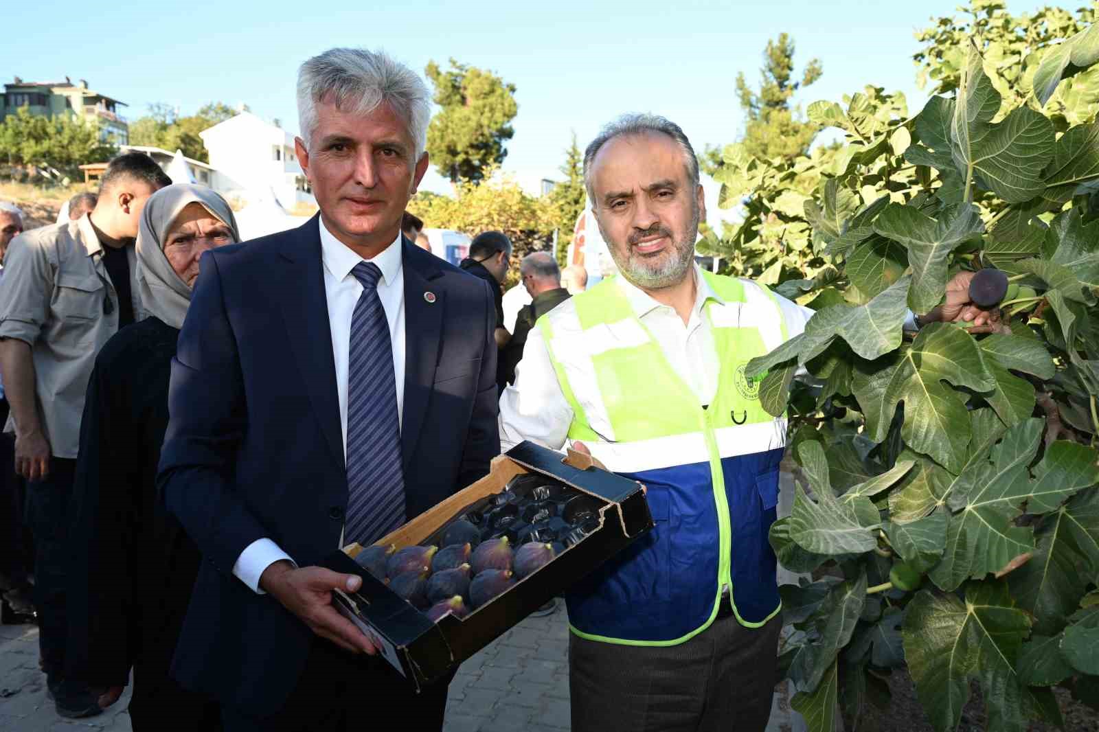 Bursa’nın ’Siyah incisi’nde hasat başladı