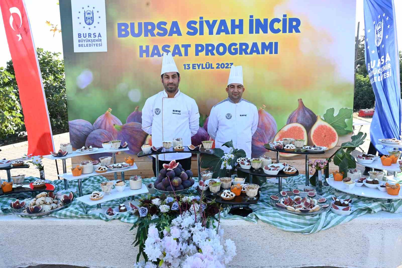 Bursa’nın ’Siyah incisi’nde hasat başladı