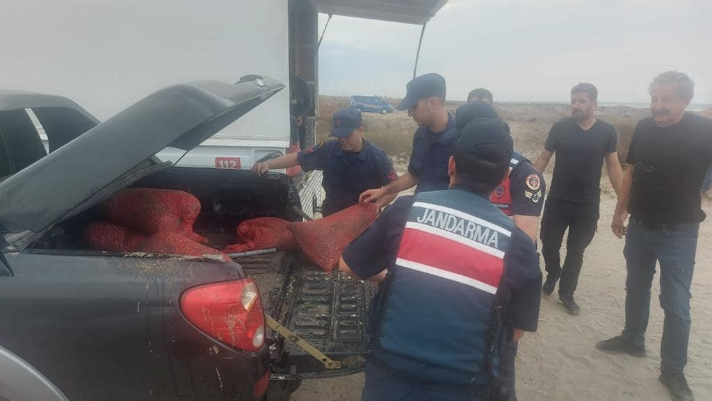 Kaçak avlanılan 5 bin 500 kilo kum şırlanı denize bırakıldı