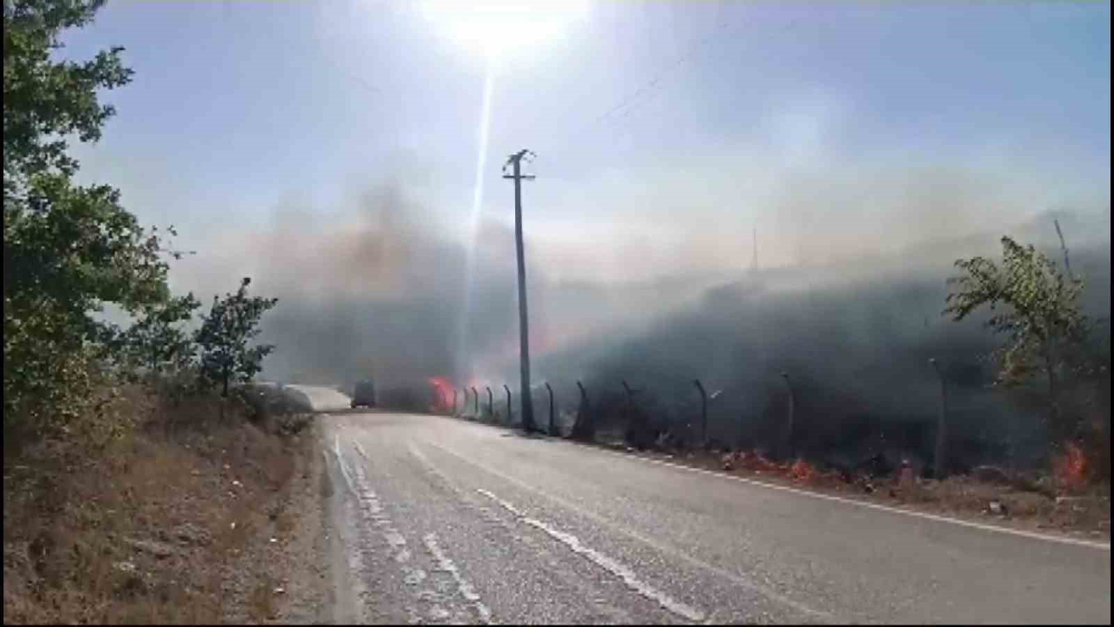 Gençlerin tehlikeli oyunu ormanı yakacaktı