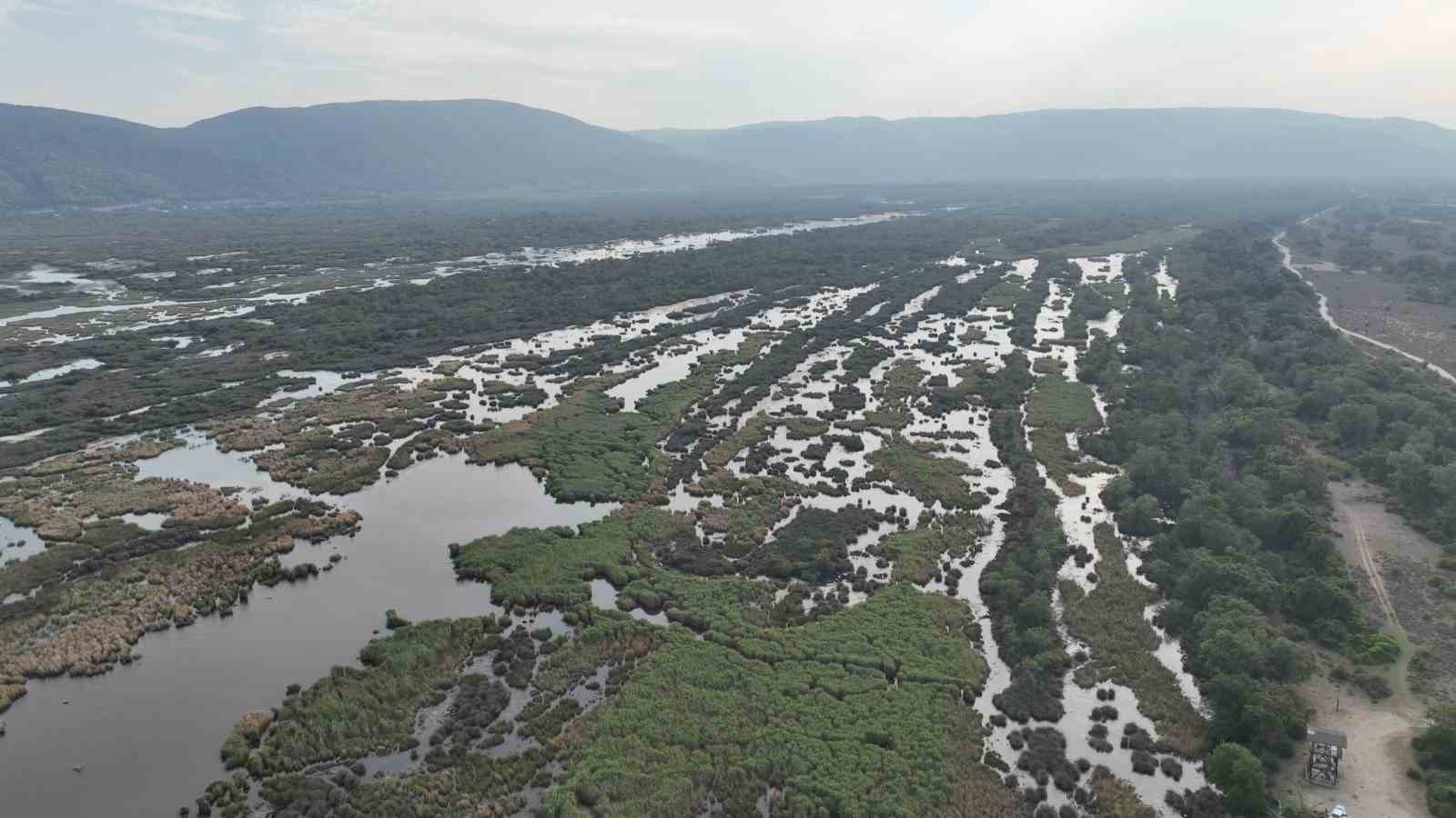 (Özel) Karacabey longoz ormanları sonbaharda da güzel