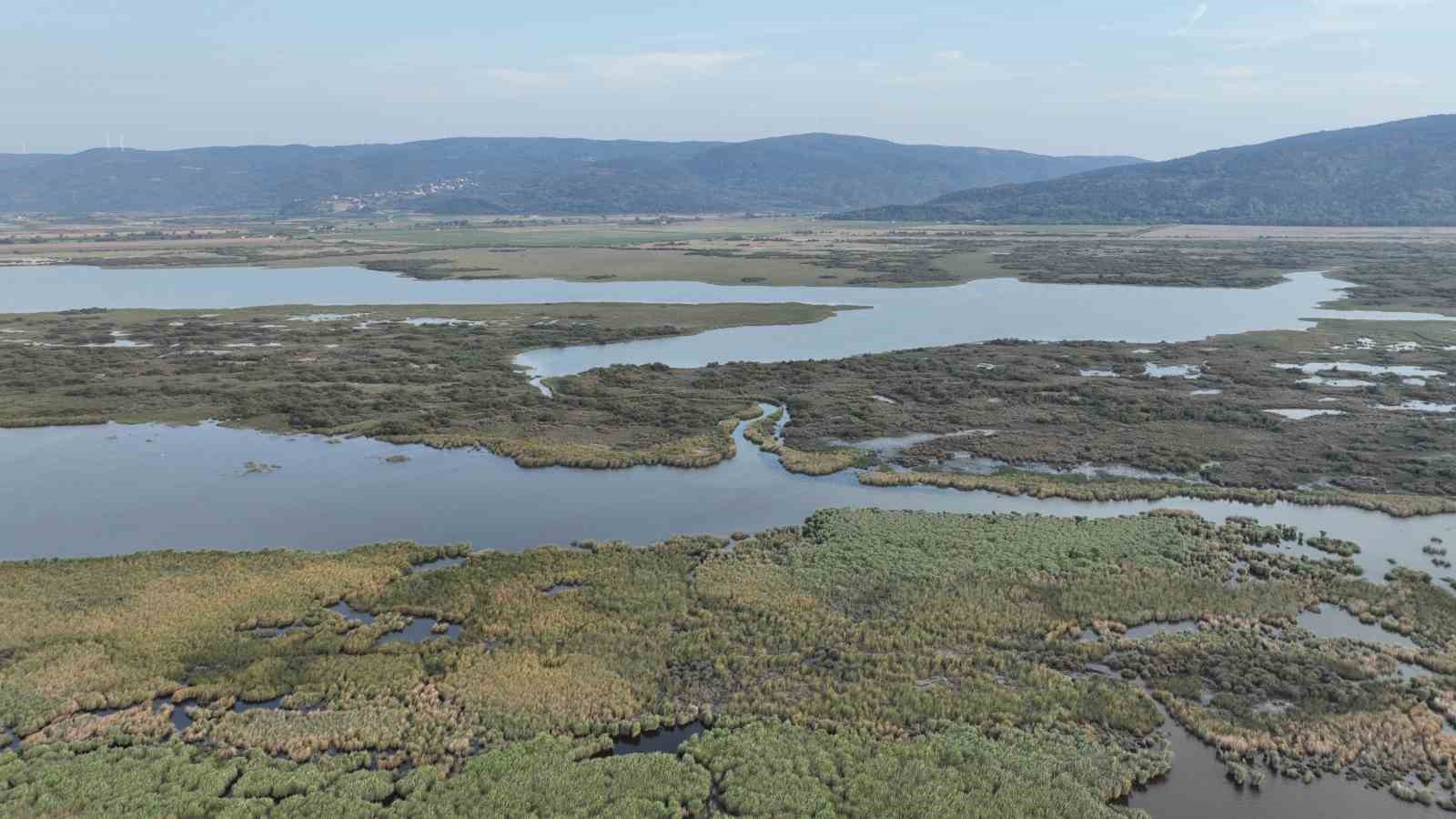 (Özel) Karacabey longoz ormanları sonbaharda da güzel