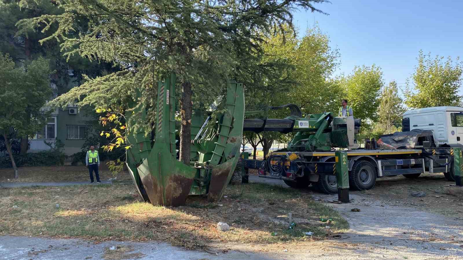 Bursa’da ağaçlar zarar görmemesi için naklediliyor