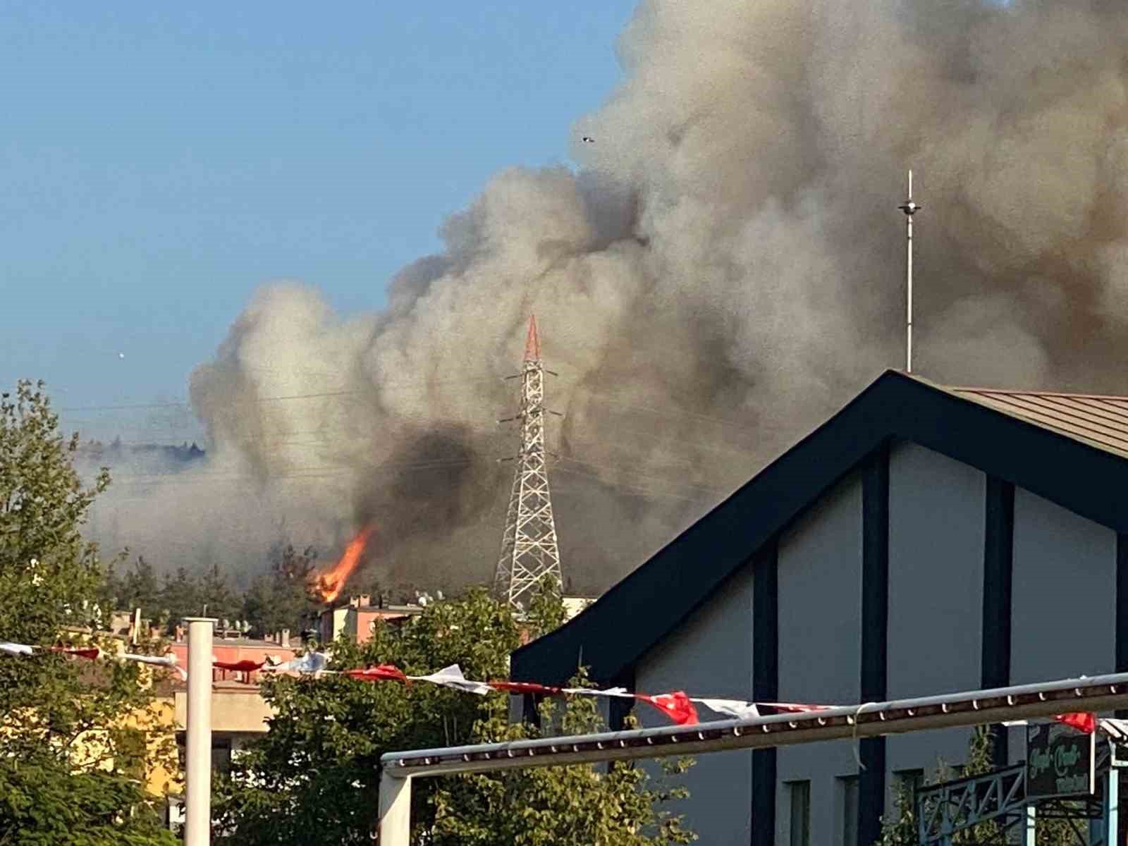 Bursa’da orman yangını