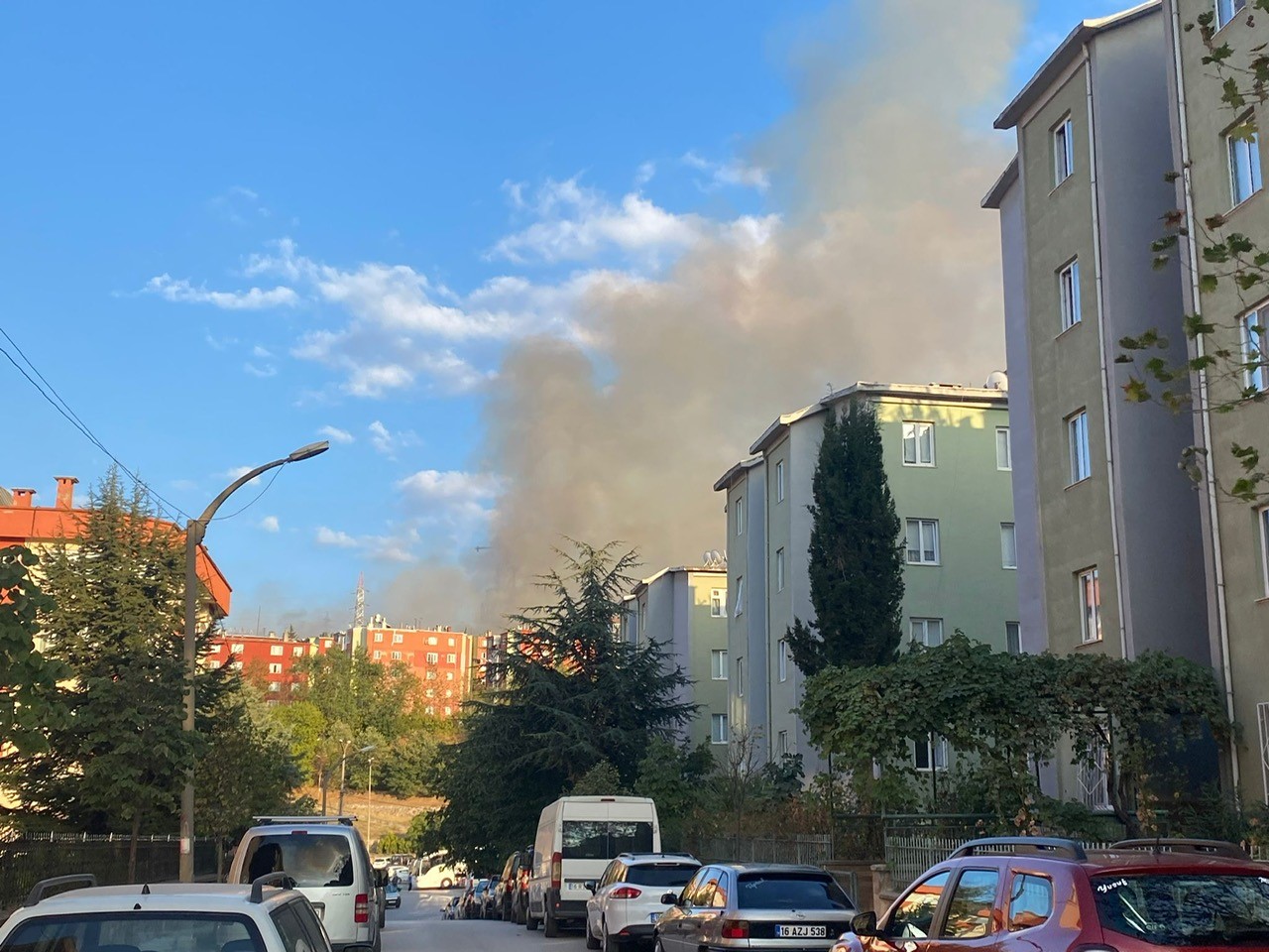 Bursa’da orman yangını