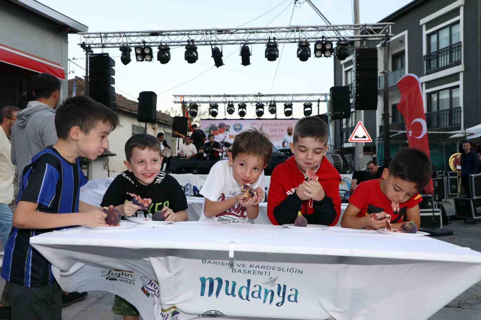 Mudanya’da siyah incir şenilği