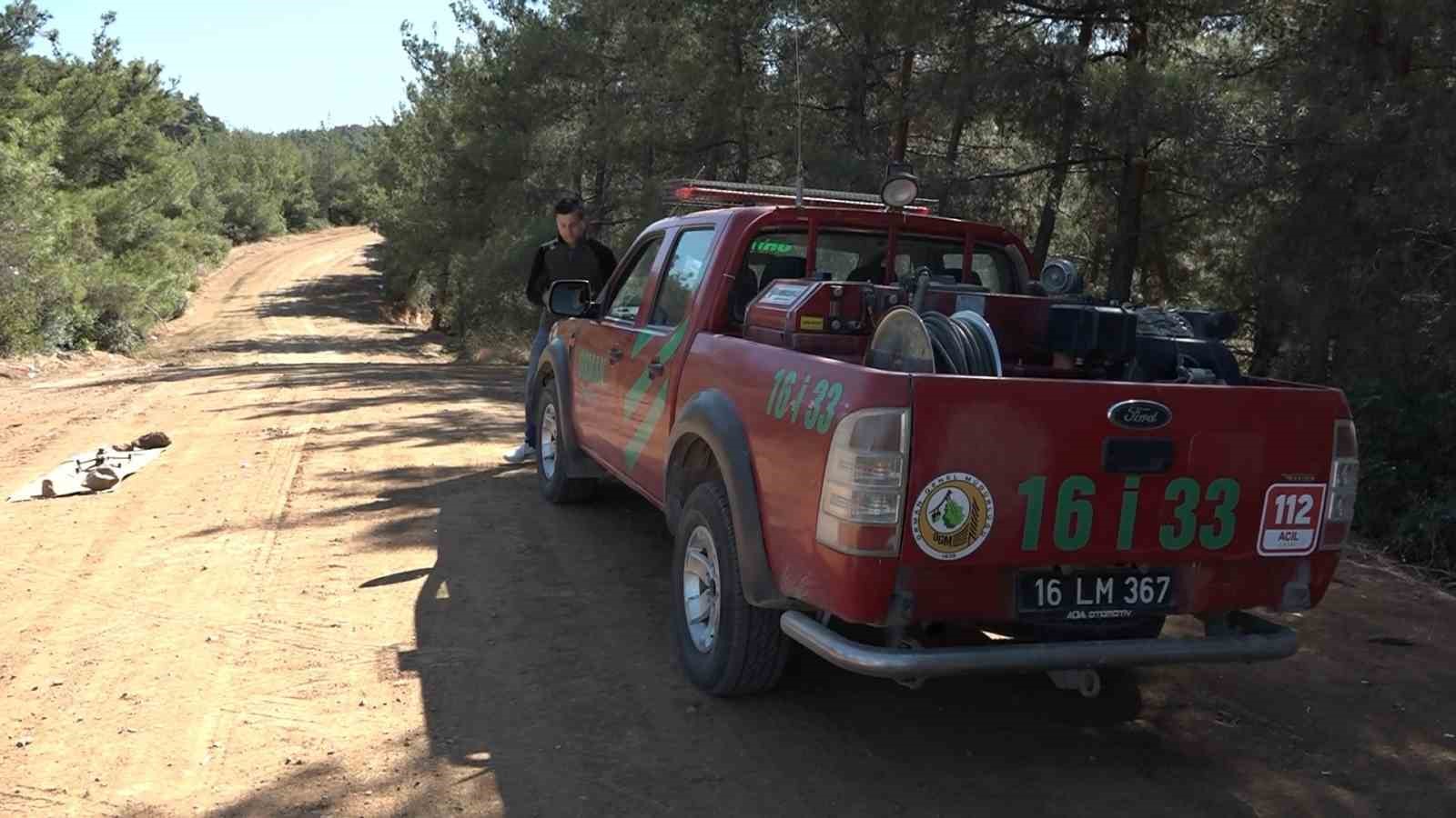 (Özel) Yanan ormanda bilanço dron ile çıkarılıyor, 25 hektar yeniden ağaçlandırılacak