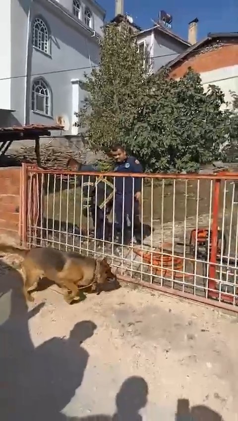 Demir kapıya sıkışan köpeği itfaiye kurtardı