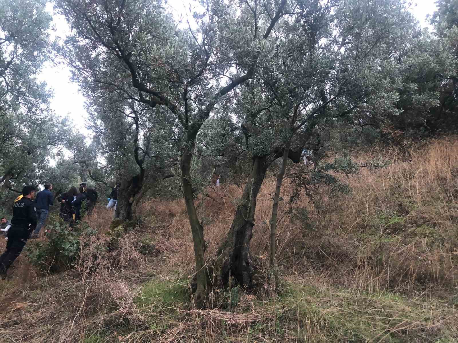 Bursa’da zeytinlikte kadın cesedi bulundu