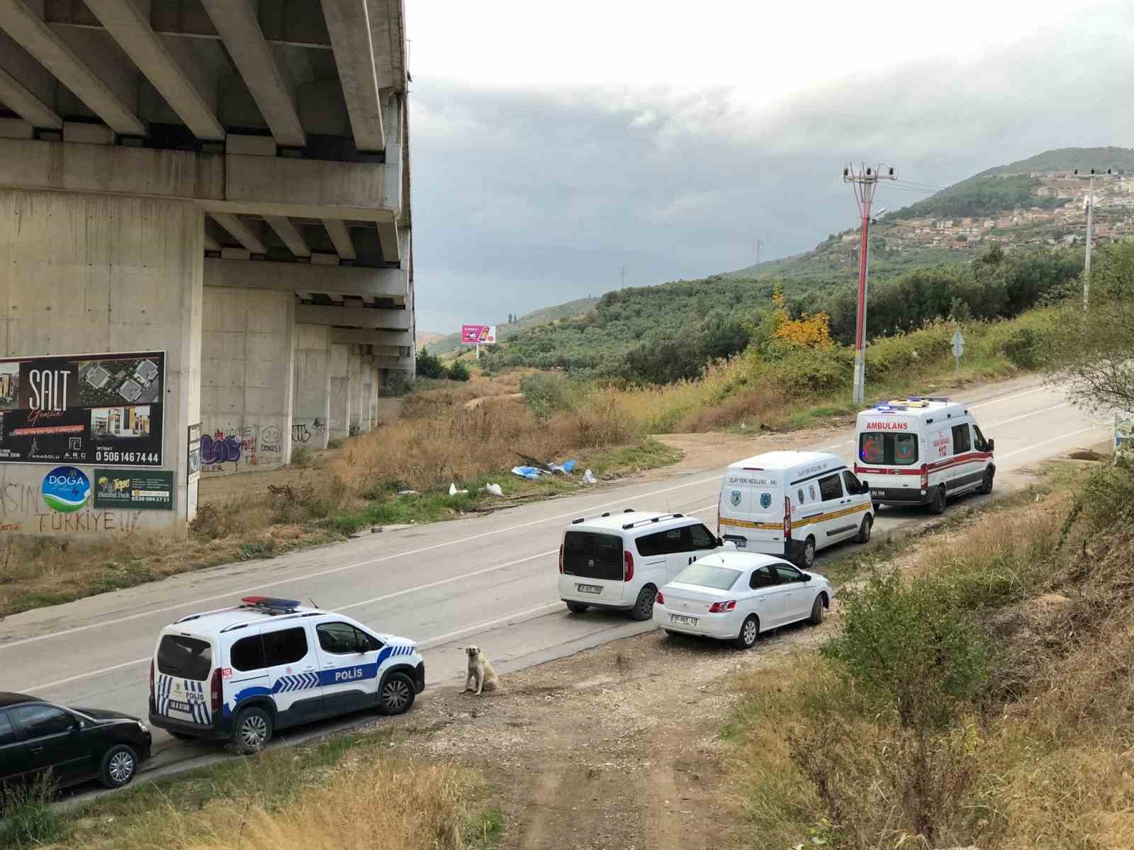 Bursa’da zeytinlikte kadın cesedi bulundu