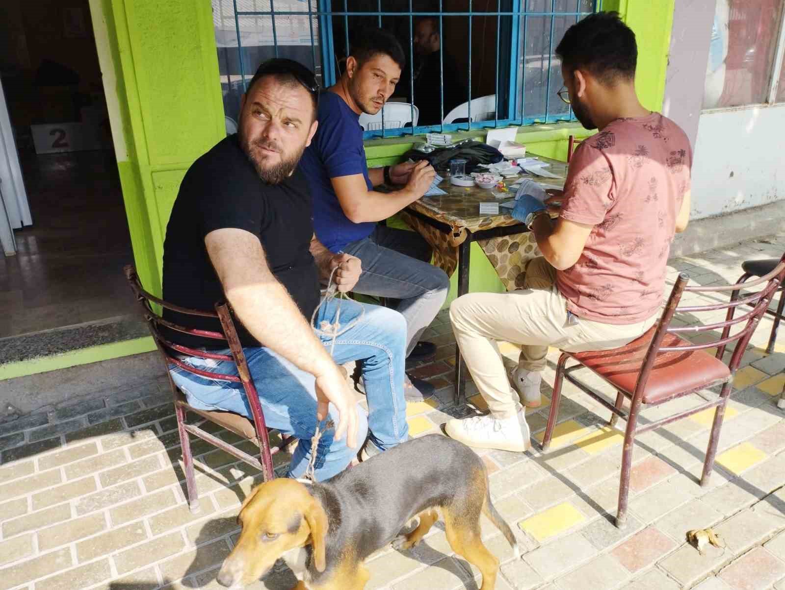 100 av köpeği çiplendi