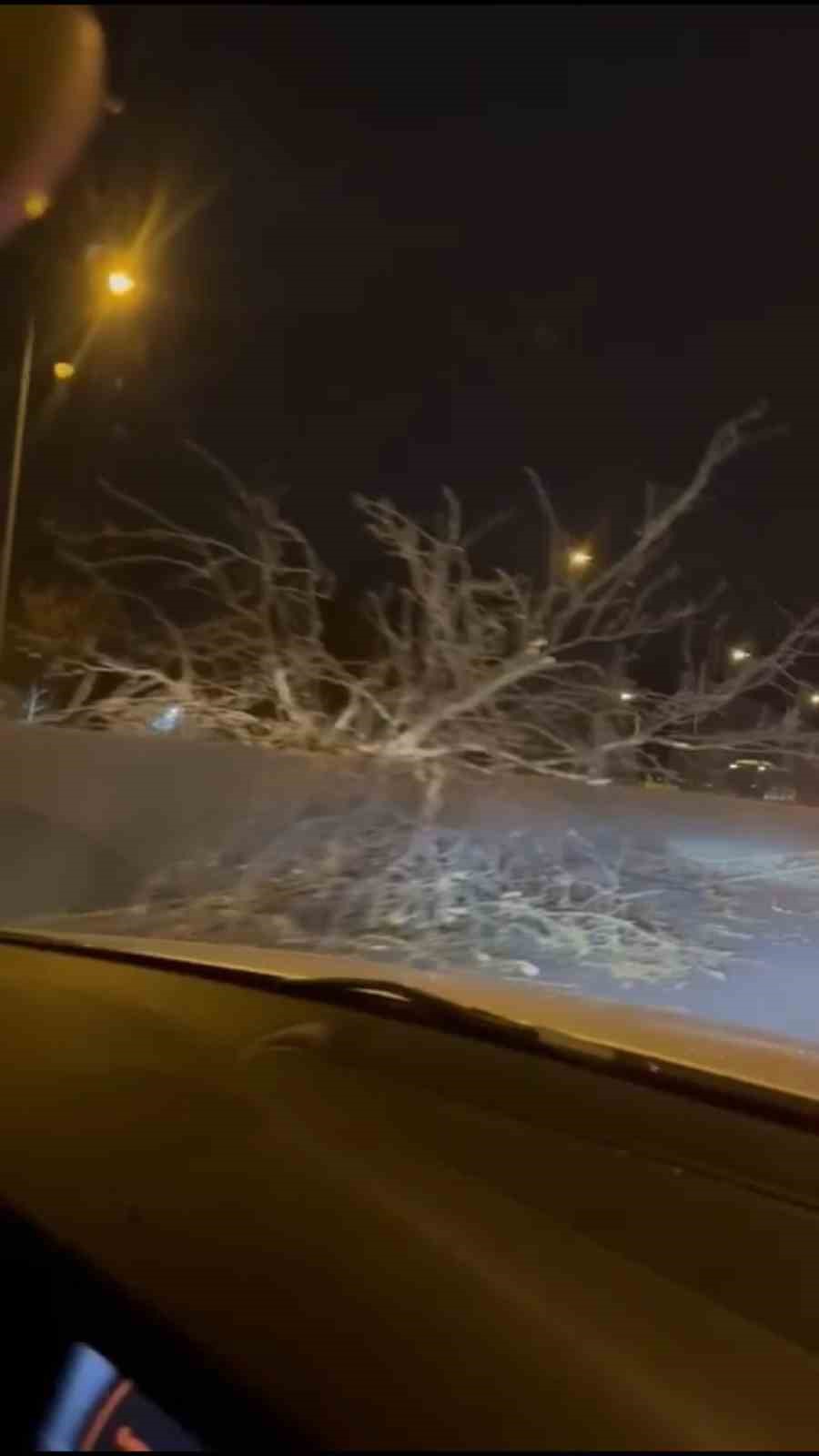 Metro raylarına ağaç düştü, seferler bir süreliğine iptal edildi