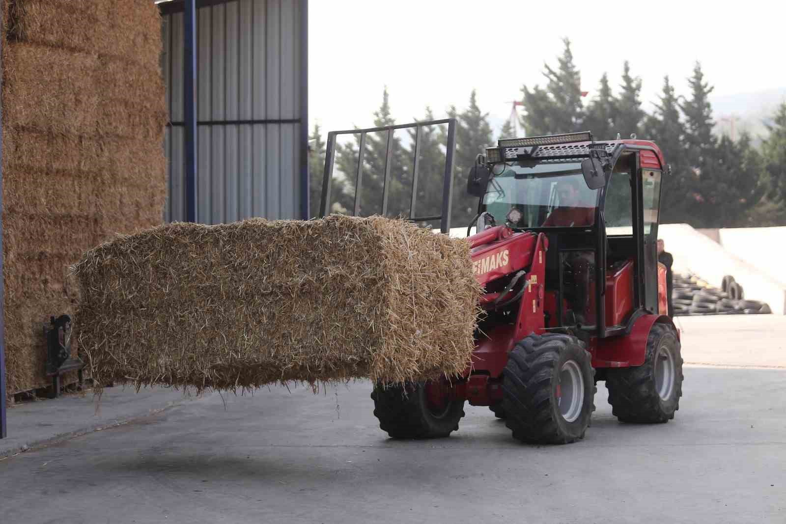 Kendi kendine yeten çiftlik kurdular, ucuz etin formülünü buldular