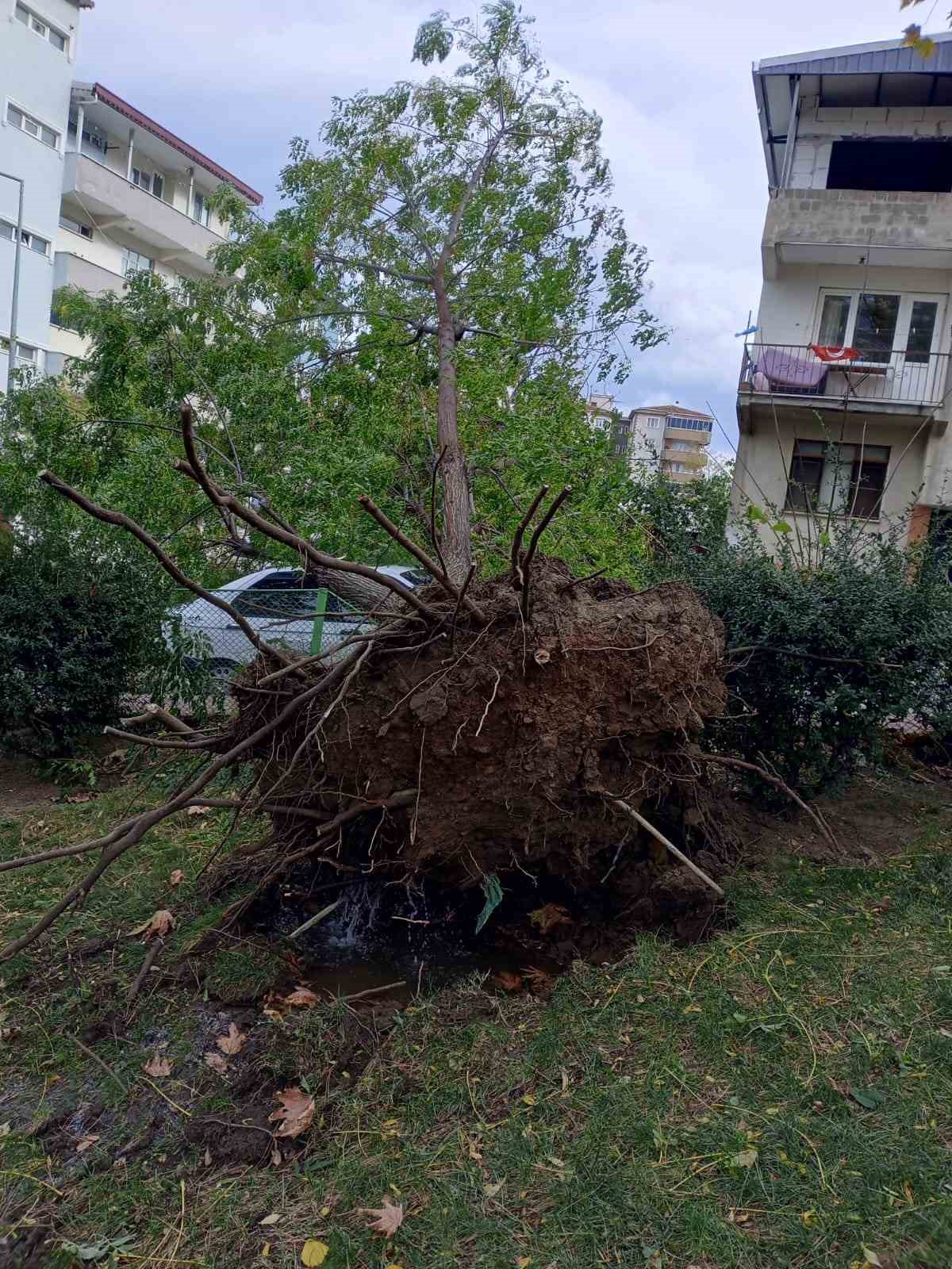 Bursa’da şiddetli rüzgar hayatı felç etti