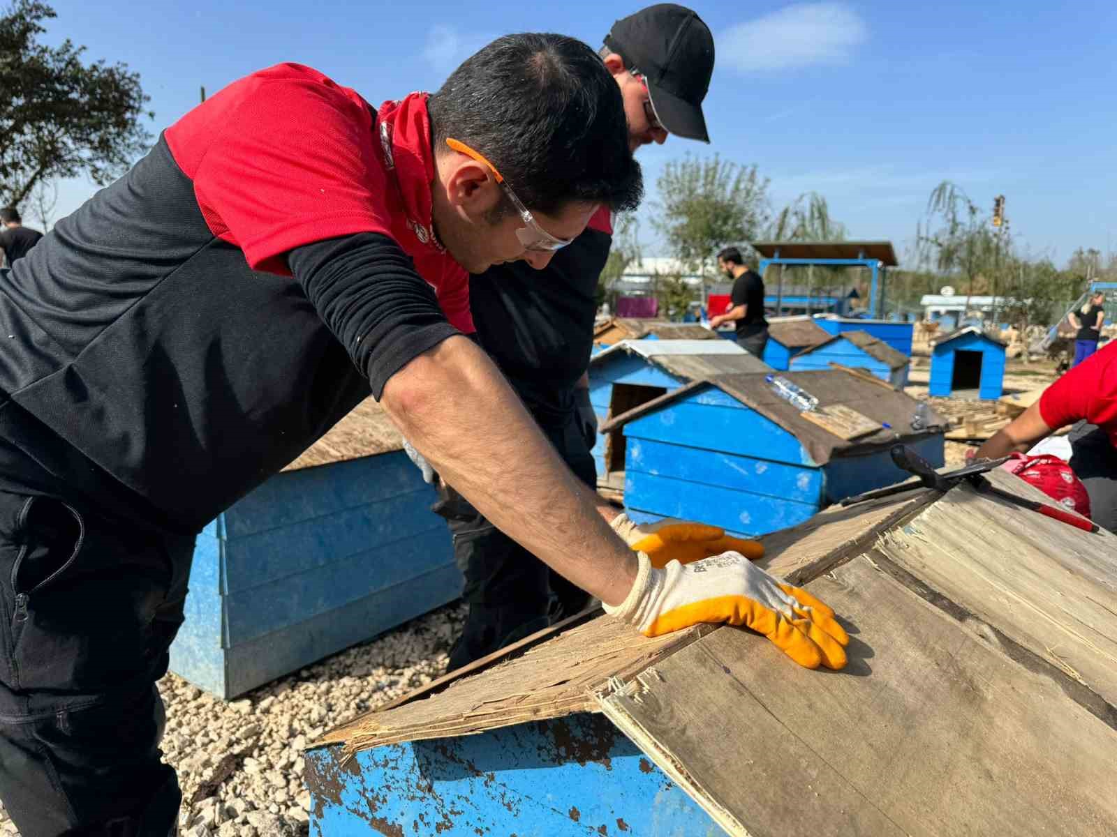 NAK köpek kulübelerini onardı