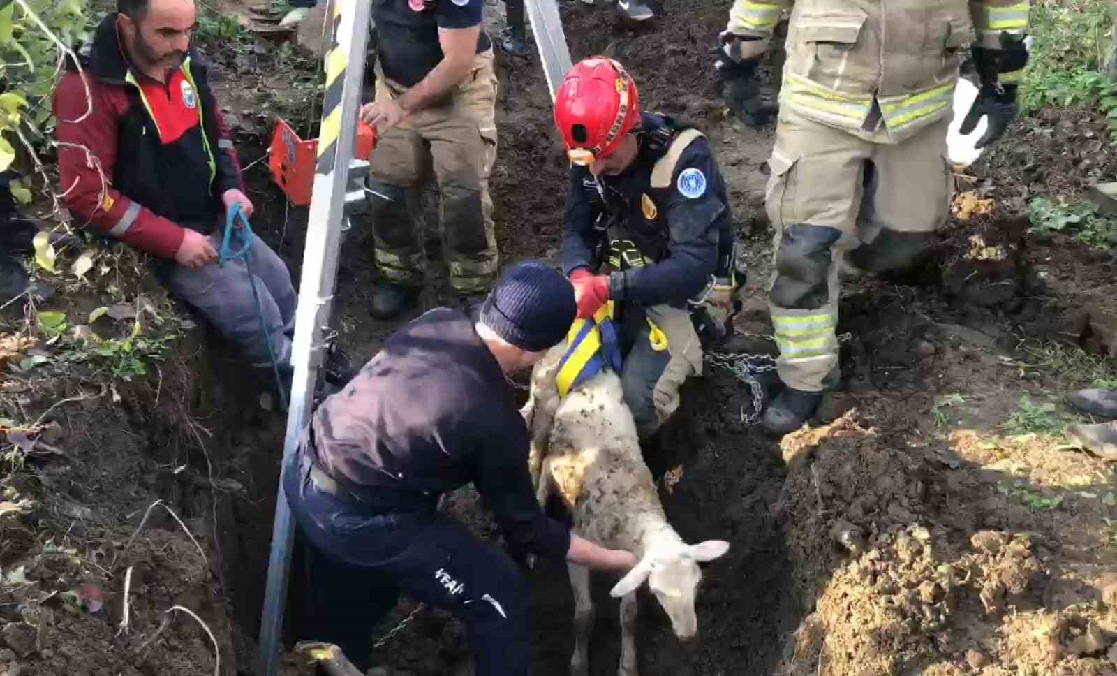 Su kuyusunda 4 gün mahsur kalan kuzuyu itfaiye ekipleri kurtardı