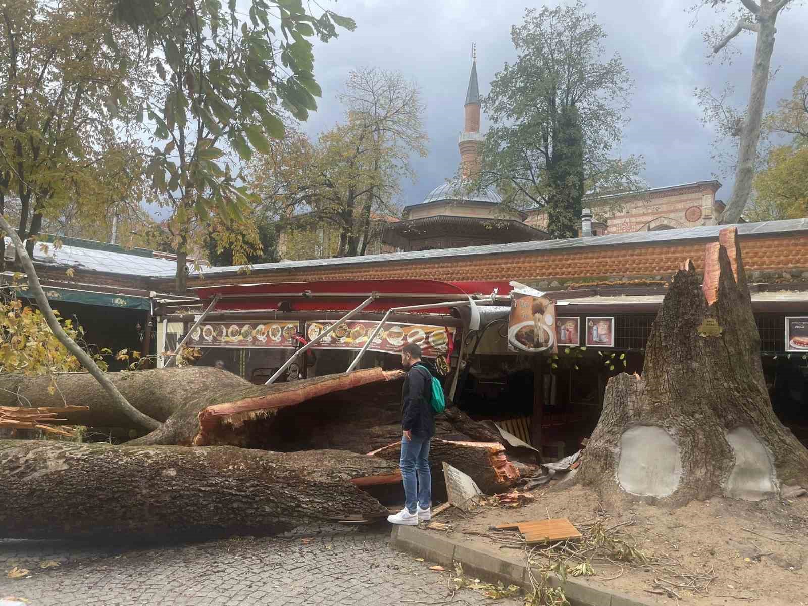 Tarihi Kozahan’da 250 yaşındaki tarihi çınar fırtınaya dayanamadı