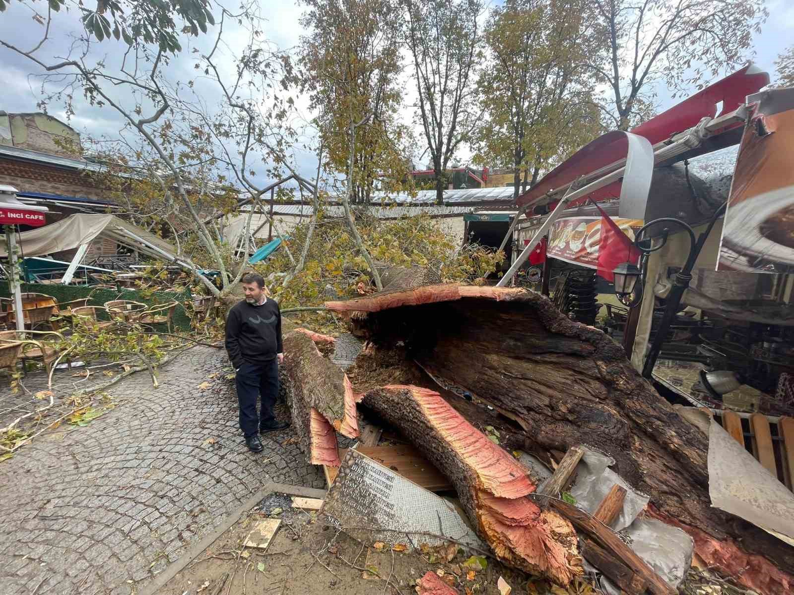 Tarihi Kozahan’da 250 yaşındaki tarihi çınar fırtınaya dayanamadı