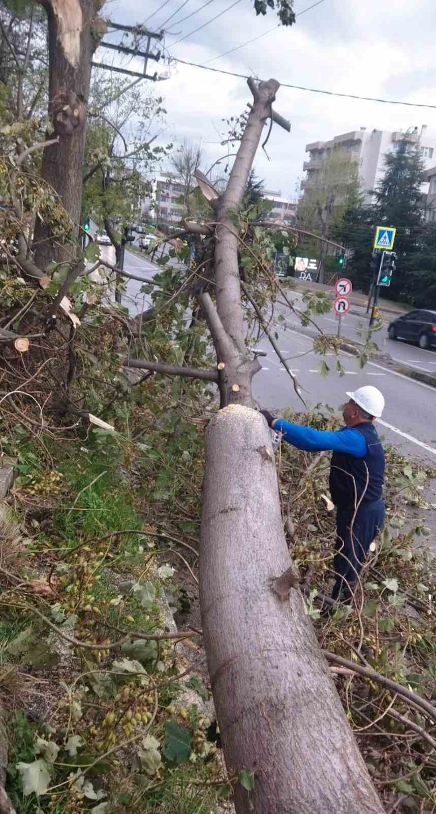 Osmangazi’de lodos mesaisi