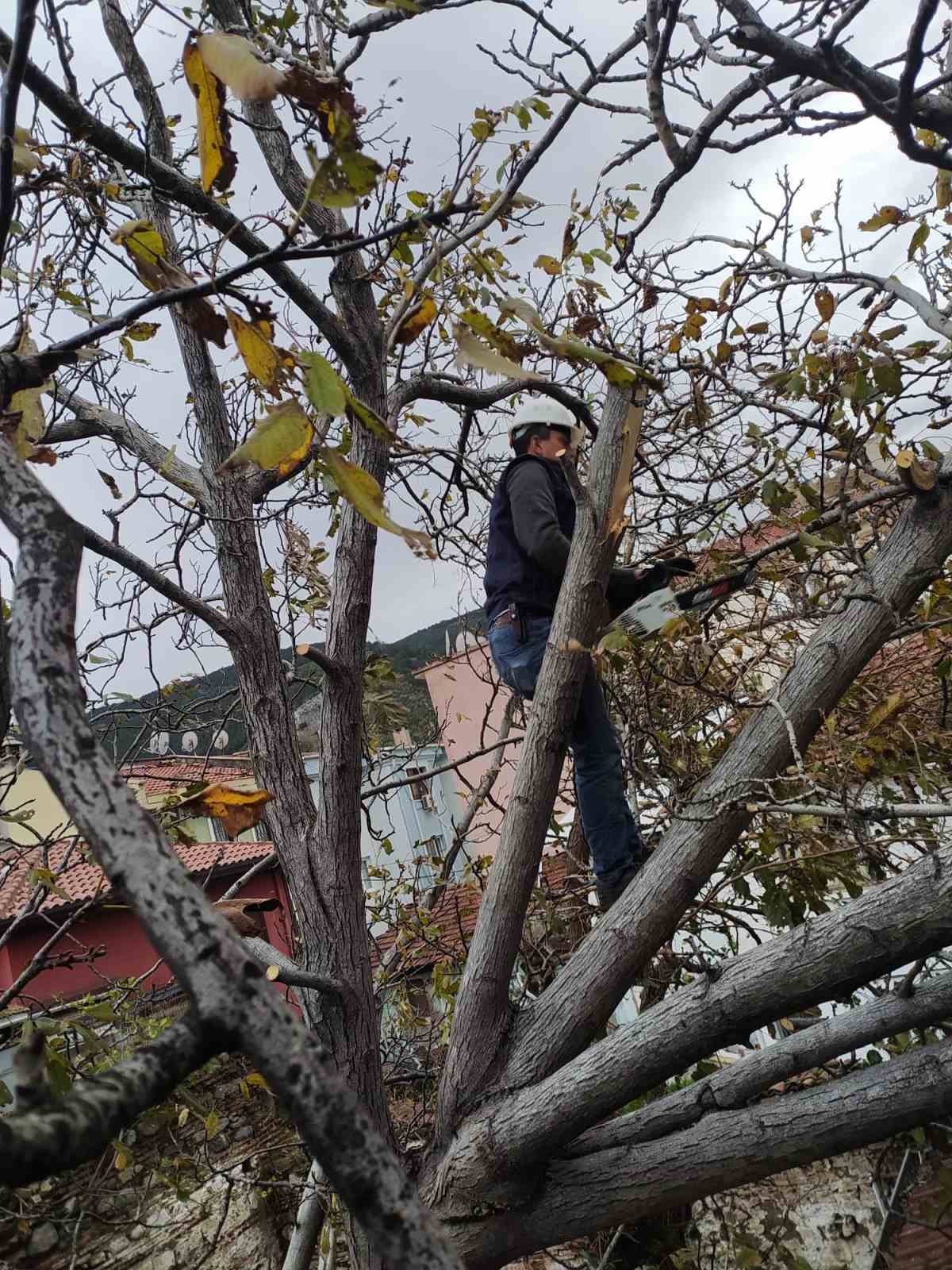 Osmangazi’de lodos mesaisi