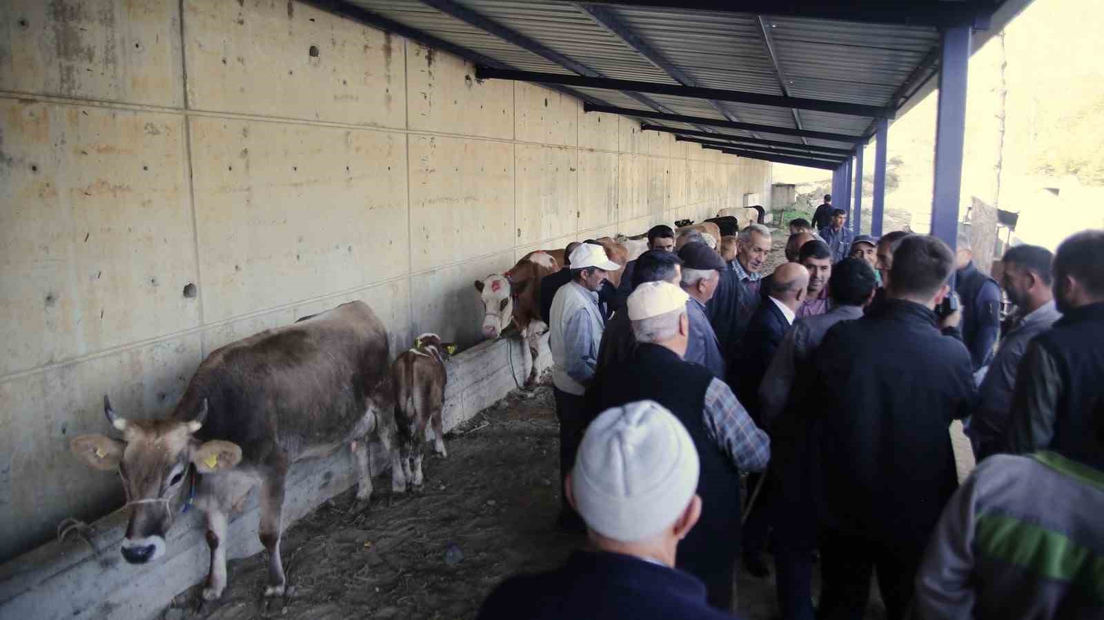 Büyükorhan Marmara’da hayvancılığın merkezi oldu