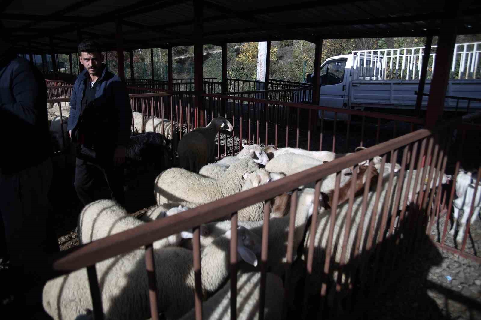 Büyükorhan Marmara’da hayvancılığın merkezi oldu