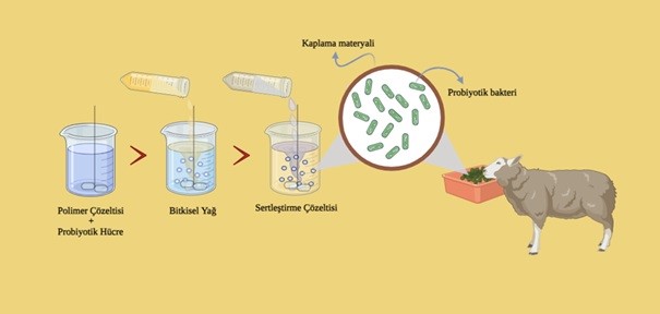 BUÜ’lü akademisyenler fonksiyonel yem katkı maddesi geliştirecek