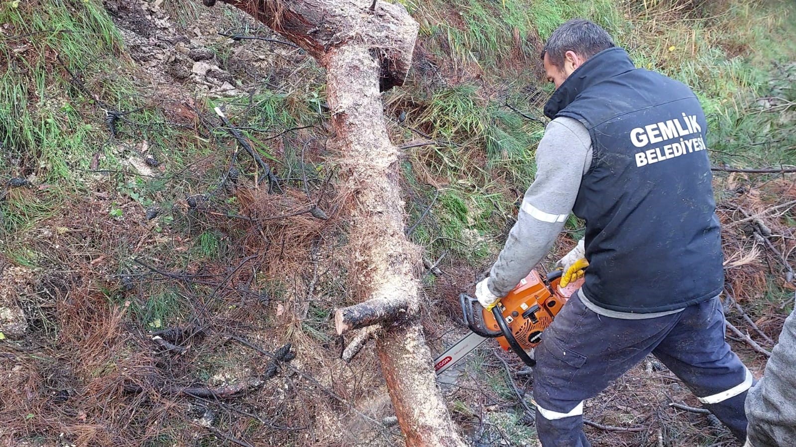 Gemlik’te felaketin yaraları sarılıyor