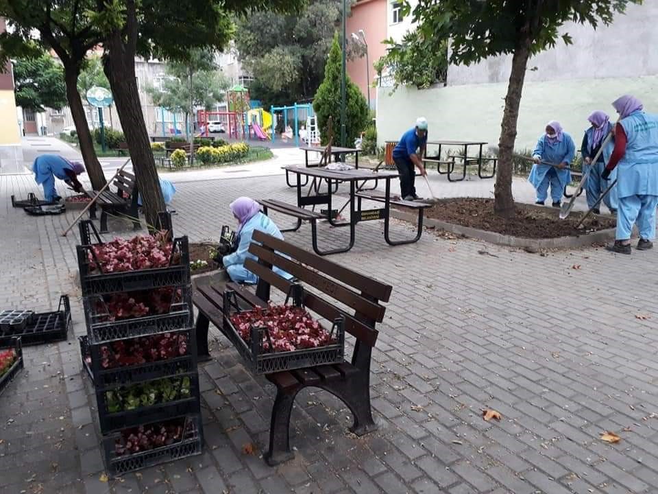 Osmangazi Belediyesi ilçeyi çiçek bahçesine çeviriyor