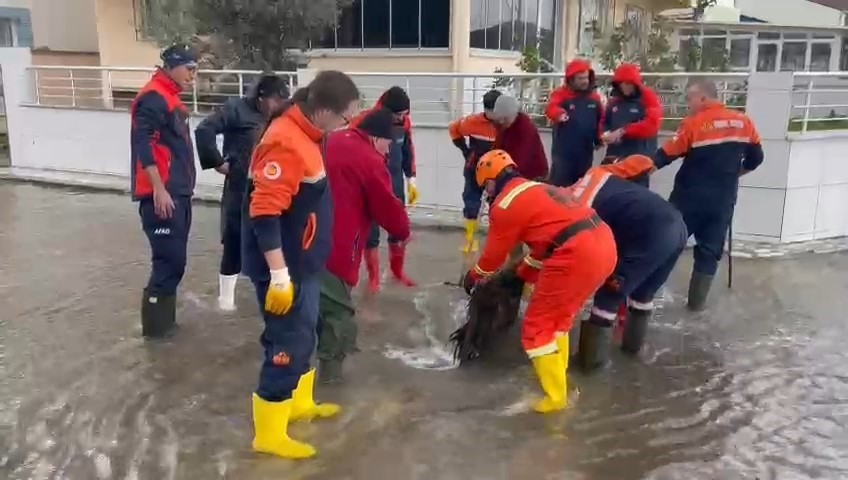 Bursa’da fırtına hayatı felç etti, deniz karayla birleşti