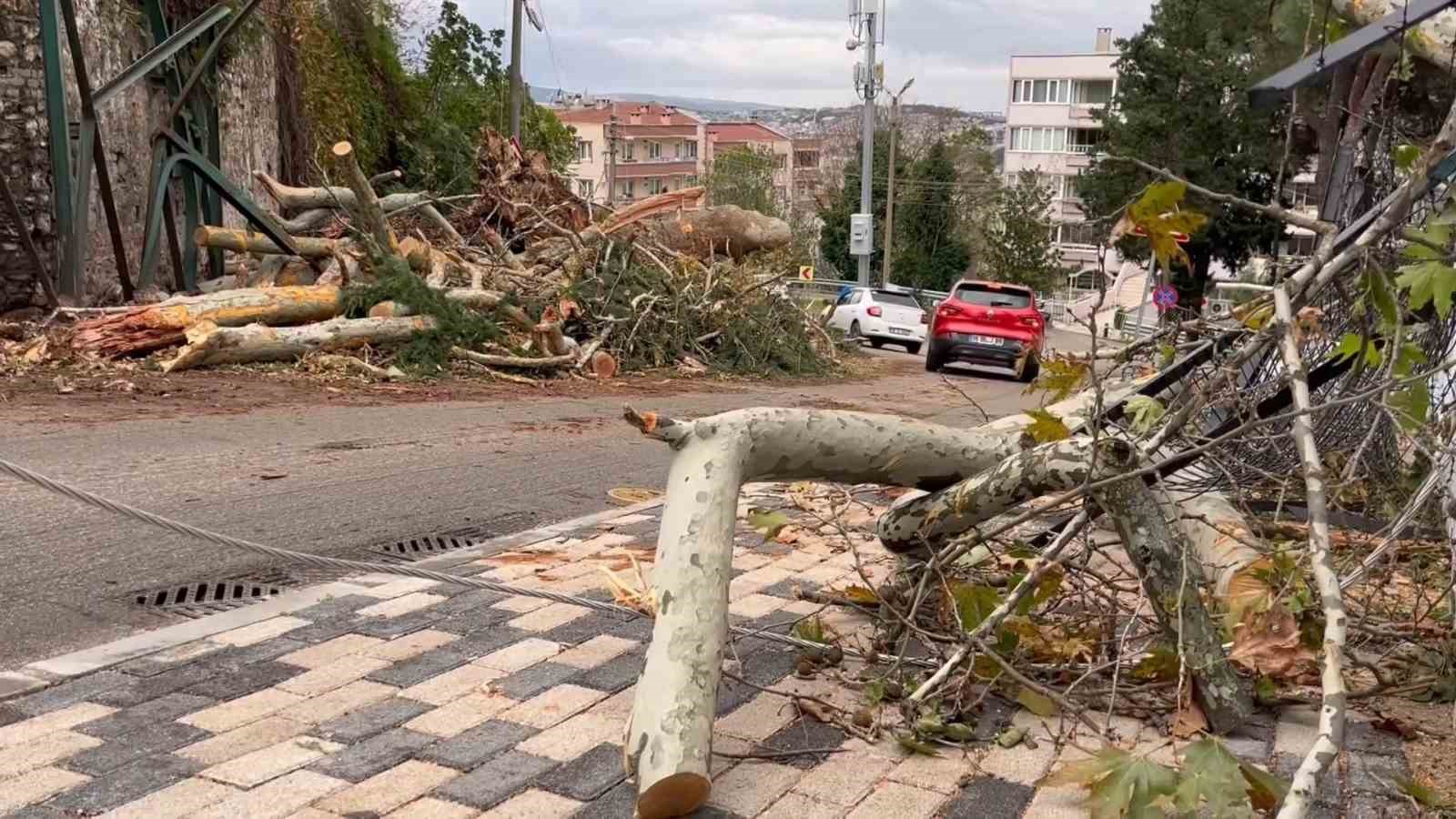 Bursa’da şiddetli rüzgar 250 yıllık çınarı devirme anı kamerada